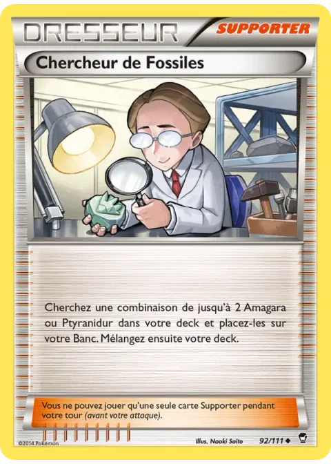 Chercheur de Fossiles
