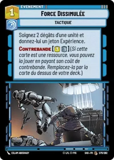 Force Dissimulée