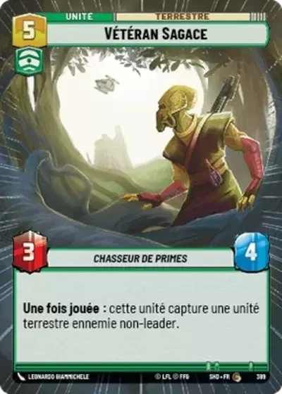 Hyperespace Veteran Sagace